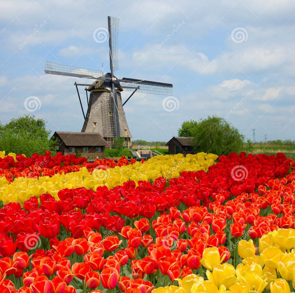 PUBQUIZ040 – Quiz met kwaliteit